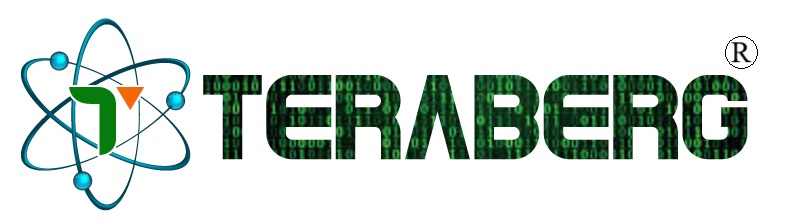 Teraberg Logo